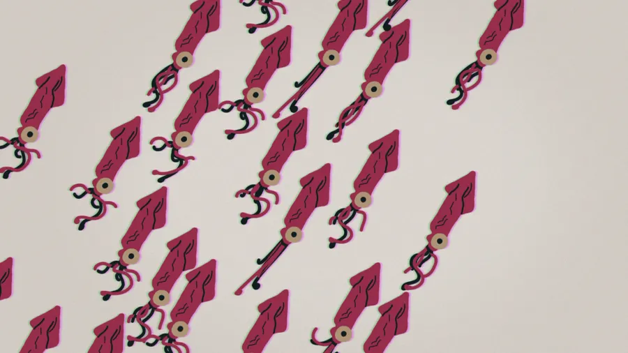 Squids - TedEd — image 1