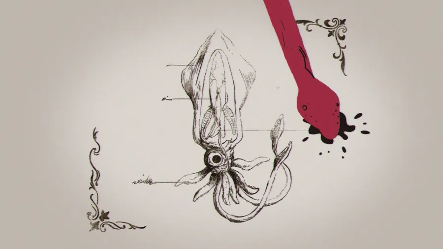 Squids - TedEd — image 3