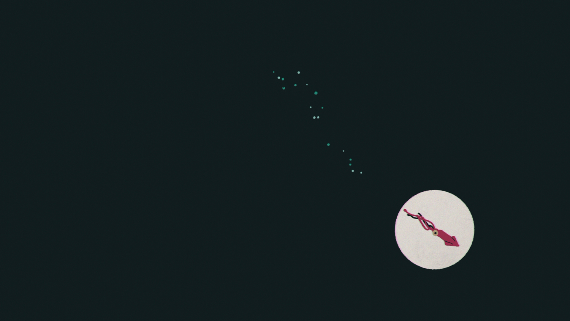 Squids - TedEd — image 11