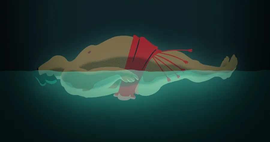 Float