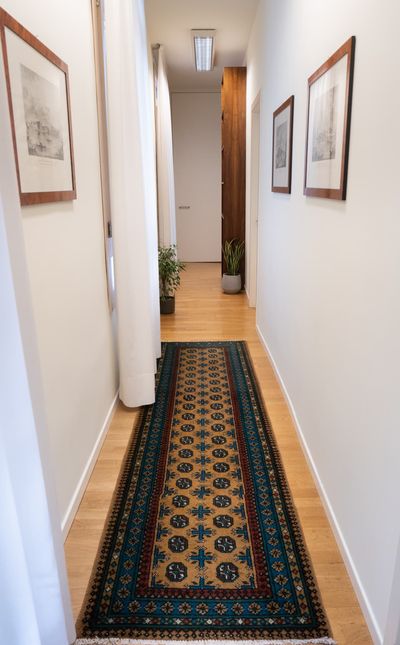 A hallway with light wooden flooring features a decorative, patterned runner rug, framed art on the walls, and potted plants near the end.