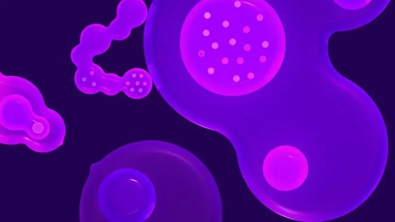 Motion Design News You Might Have Missed in 2017 article thumbnail