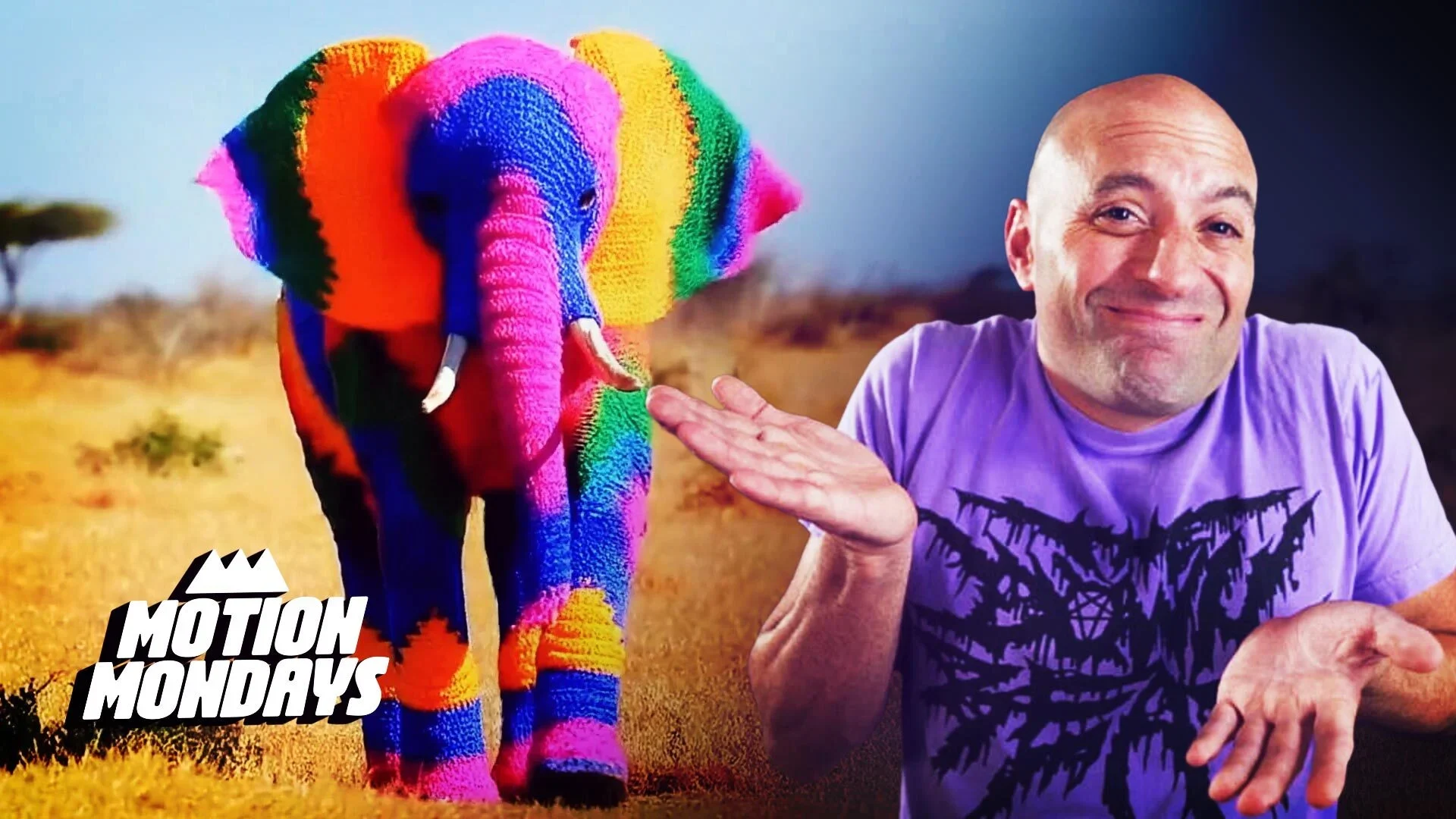 After Effects May 2024 Release, Packshot AI, Veo and more article thumbnail