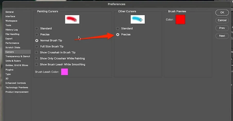 Cutting Out Images Photoshop - School of Motion tutorial image