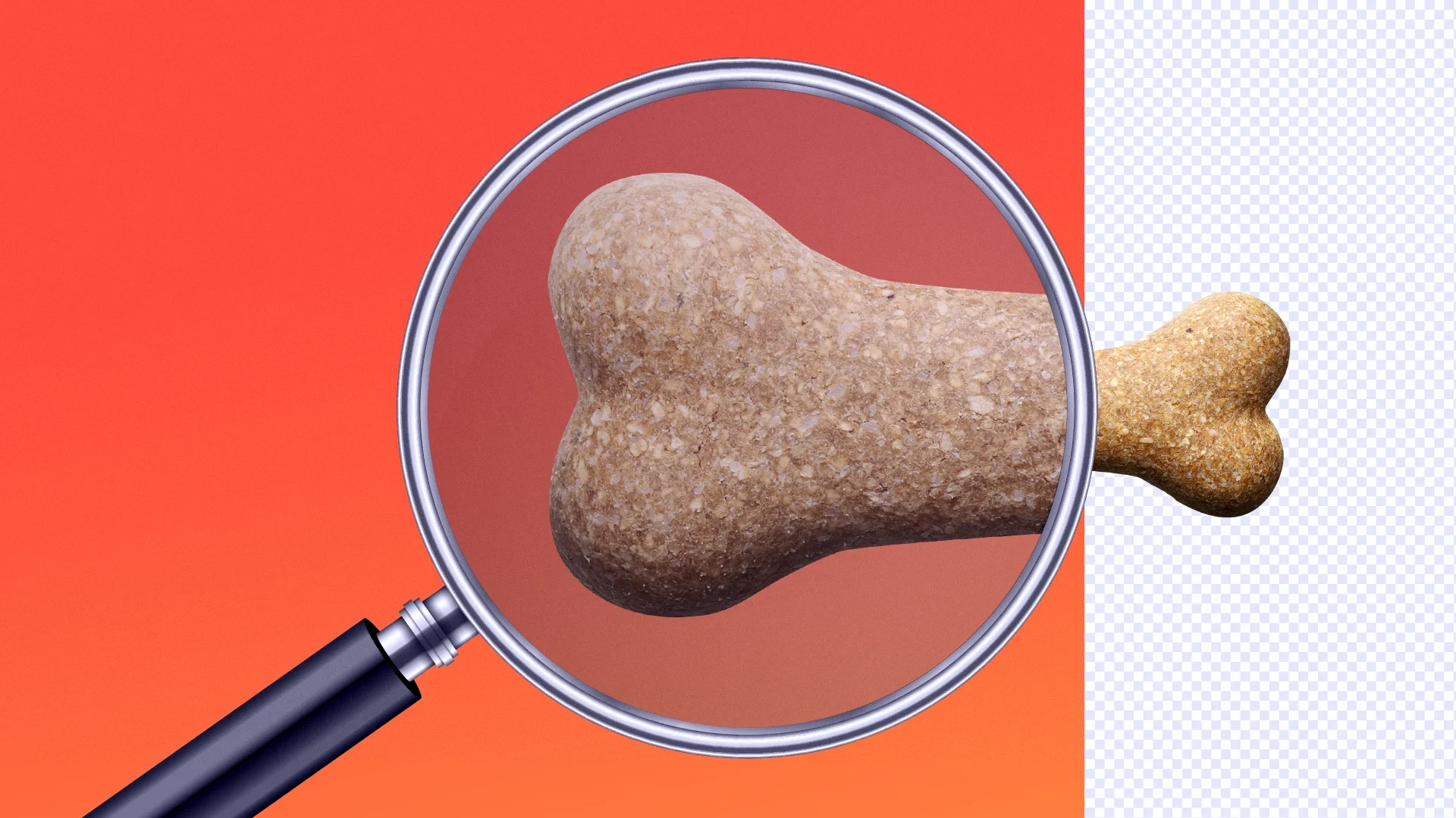 How to Resize Images in Photoshop article thumbnail