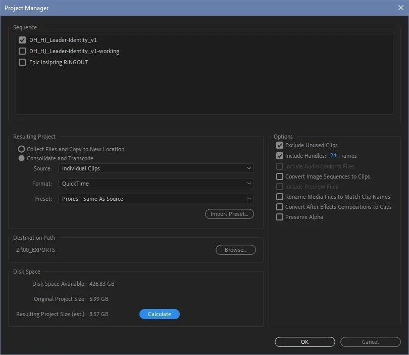 PremiereMenus-File-ProjectManager.jpg