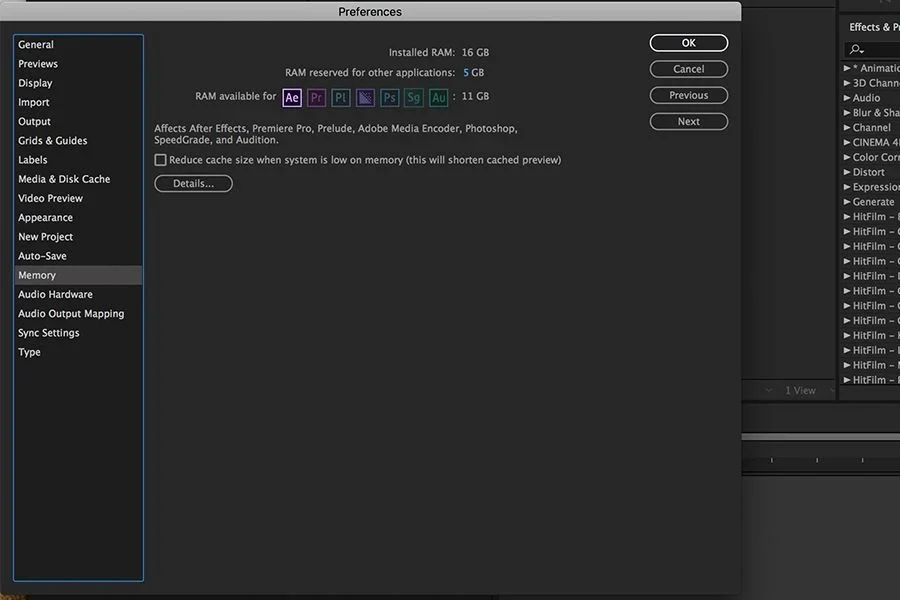 RAM_6_AE Preferences Memory.png