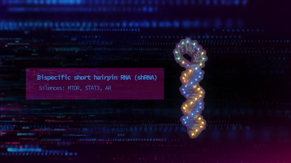 A Virus that Kills Cancer (9).png