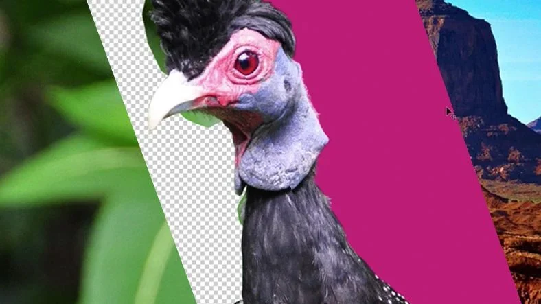 Tutorial: How To Cut Out Images in Photoshop article thumbnail
