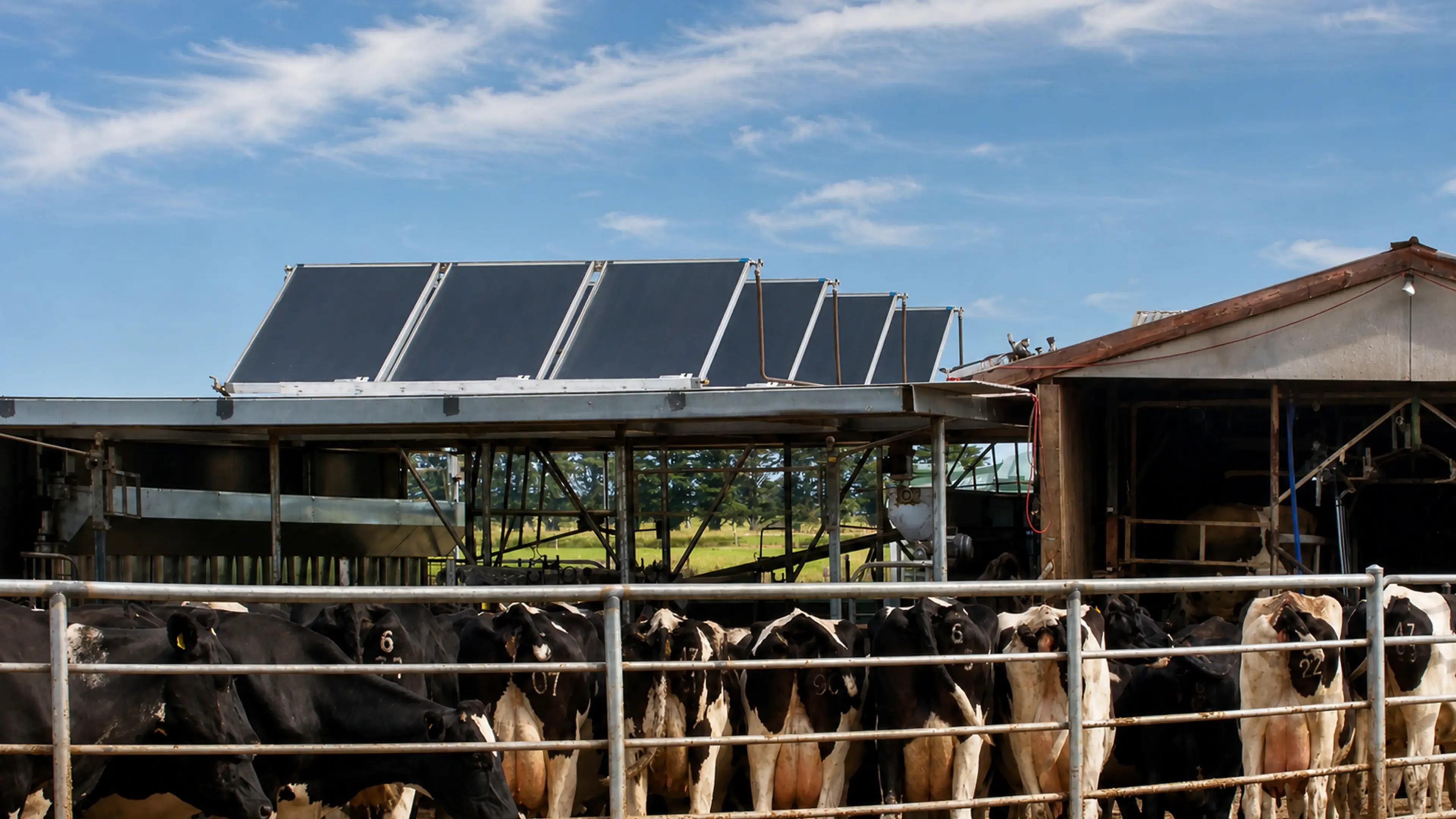 Rinnai Solar Hot Water