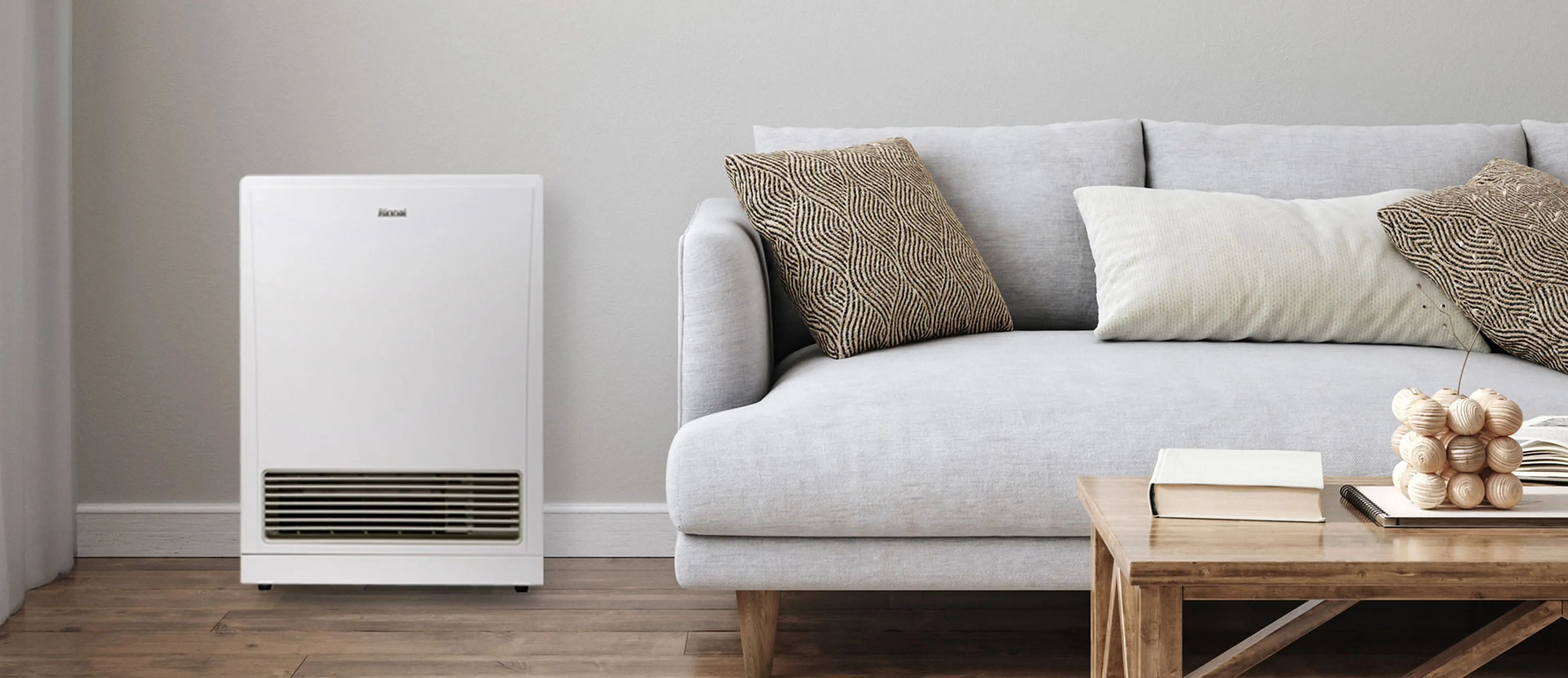 Rinnai launches the new Energysaver 561FT Heater