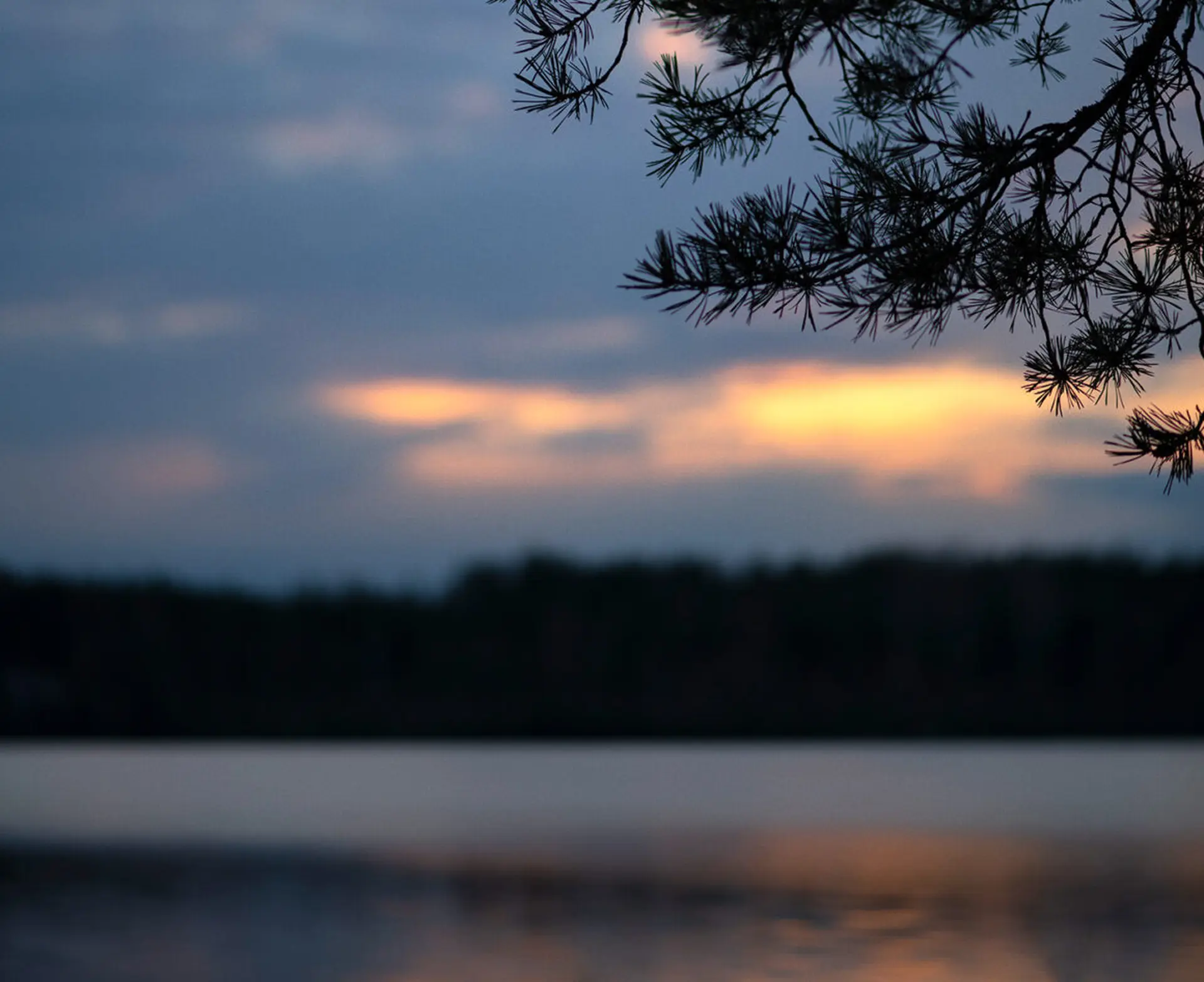 Gryningsljus över svensk natur