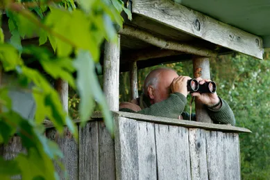 Älterer Mann mit Fernglas beobachtet aus einer hölzernen Aussichtsplattform heraus, umgeben von grüner Natur.