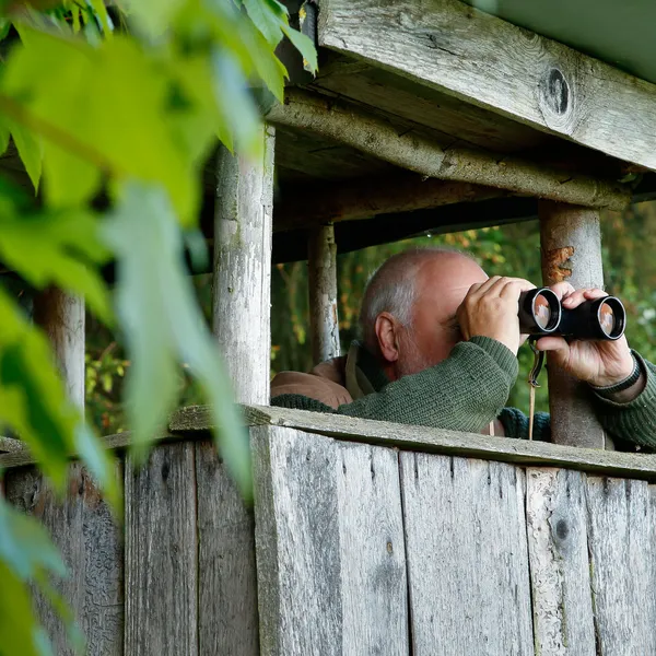 Älterer Mann mit Fernglas beobachtet aus einer hölzernen Aussichtsplattform heraus, umgeben von grüner Natur.