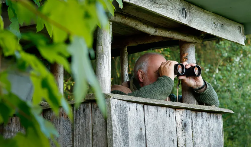 Älterer Mann mit Fernglas beobachtet aus einer hölzernen Aussichtsplattform heraus, umgeben von grüner Natur.