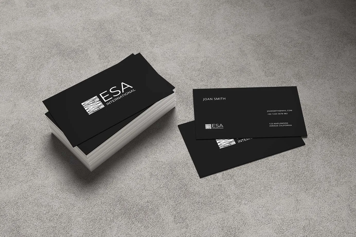 Esa International mockup 5