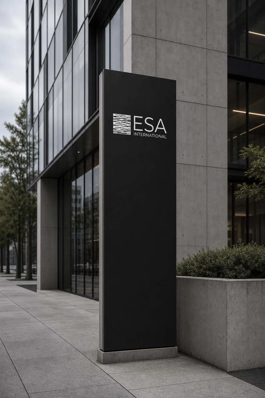 Esa International mockup 3