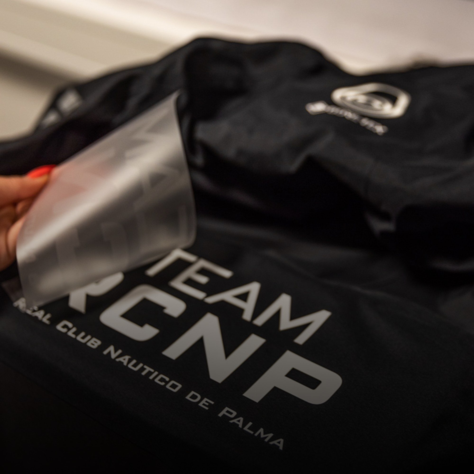 Heat transfer print