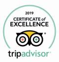 TripAdvisor award badge