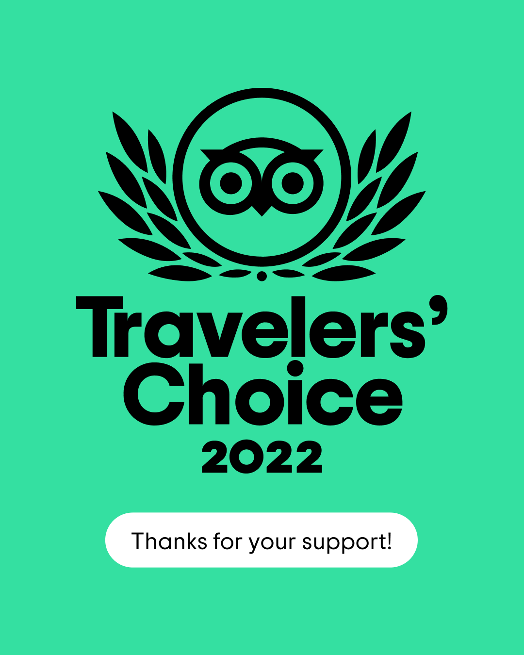 TripAdvisor award badge