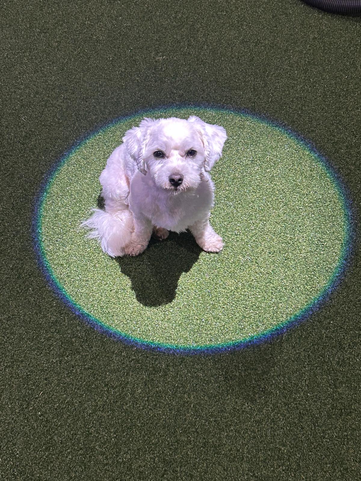 Golf Simulator Lighting Guide