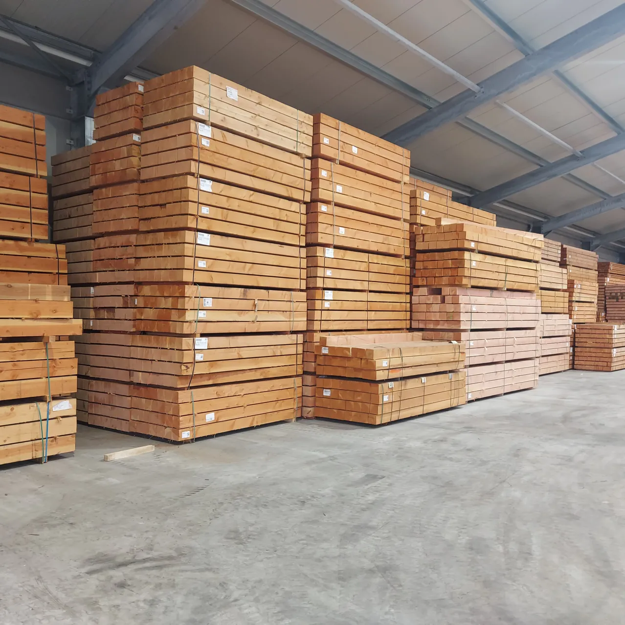 Hout op vestiging