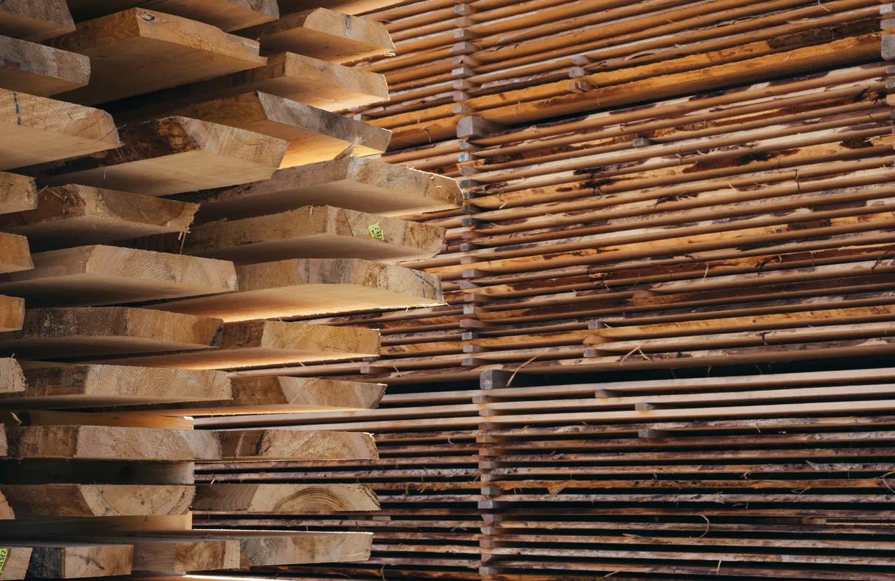 Hout