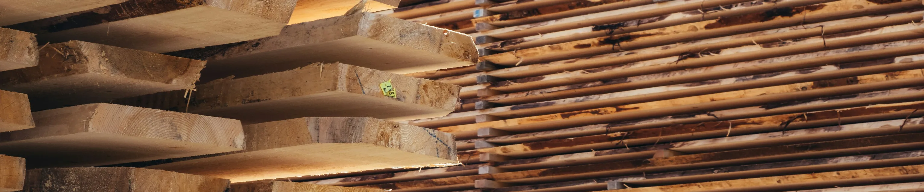 Hout