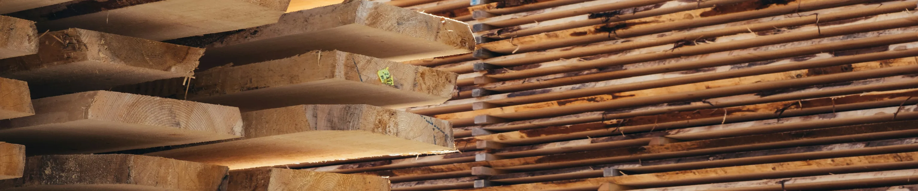 Hout