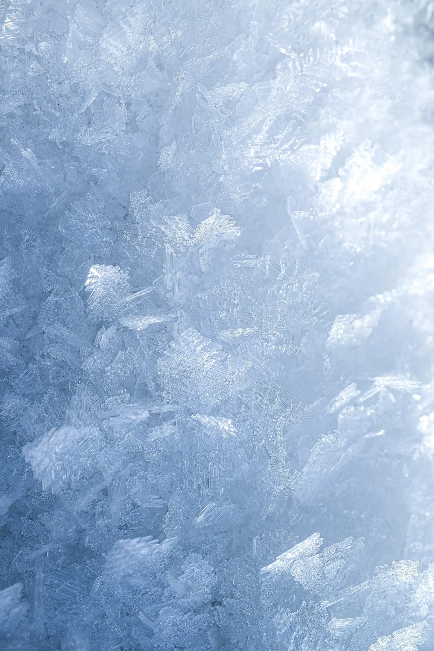 Localized cryotherapy treatment at REVIKA Newport Beach