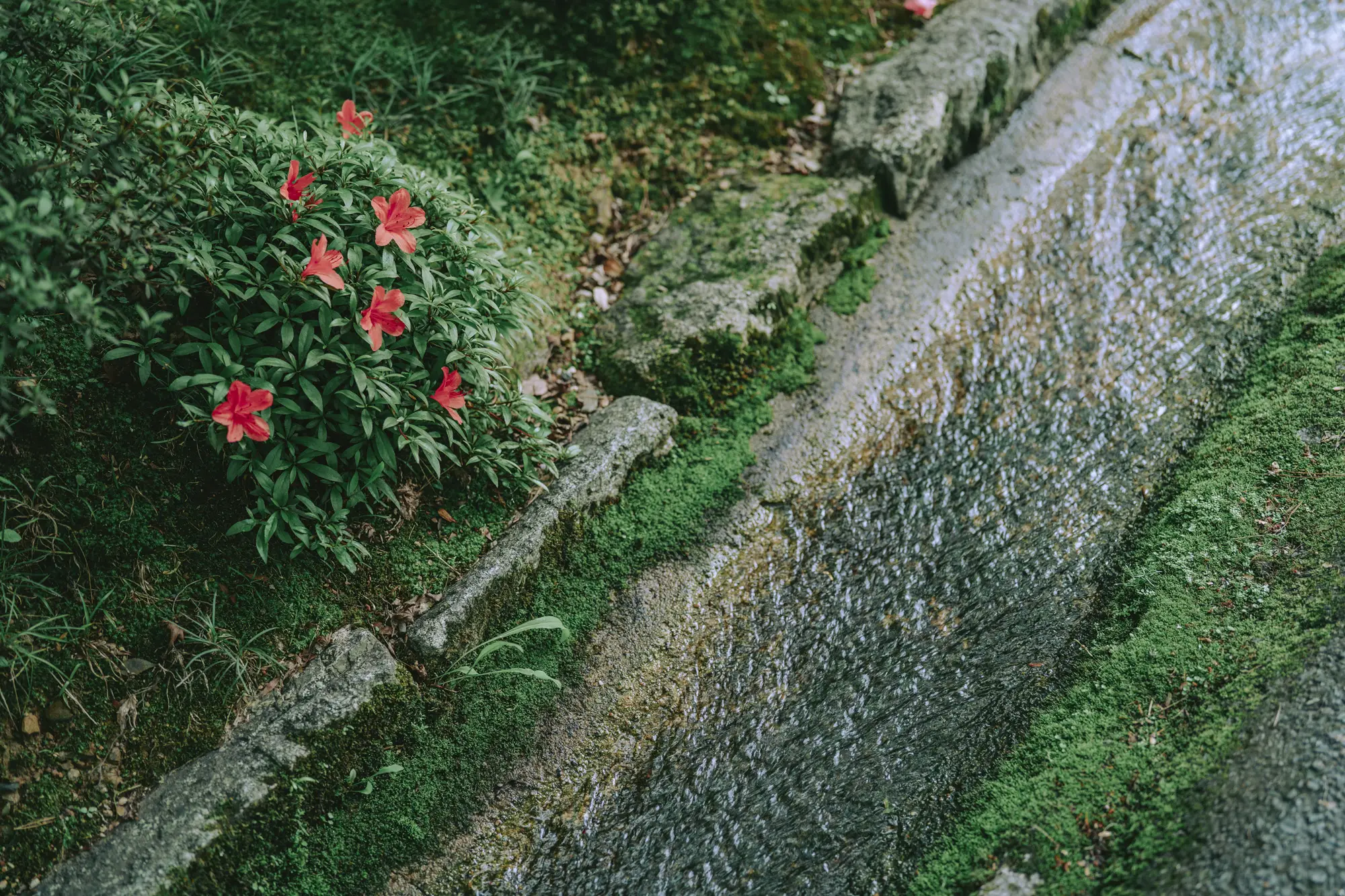 20230601-DSC05405