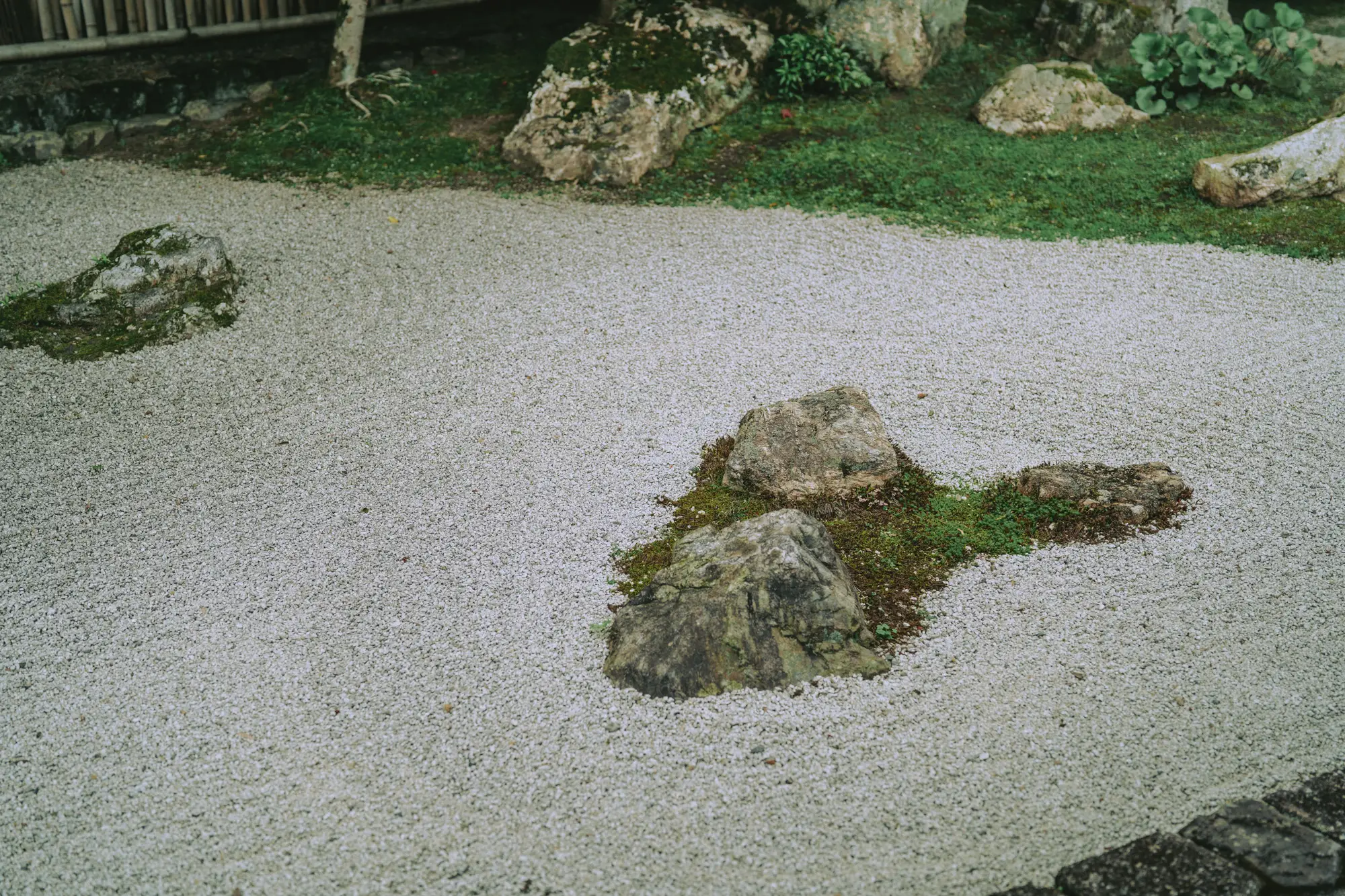 20230601-DSC05385