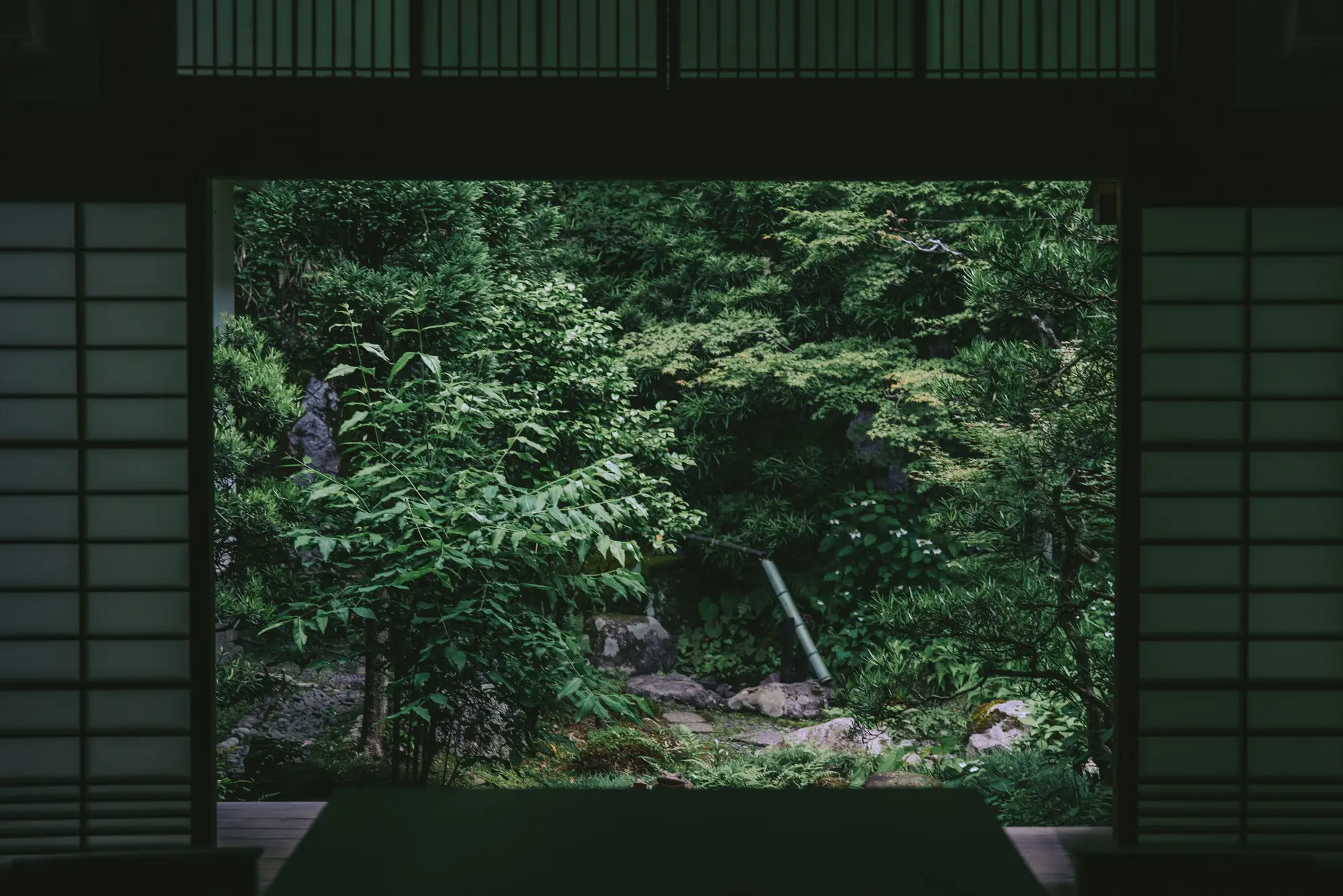 20230601-DSC05349