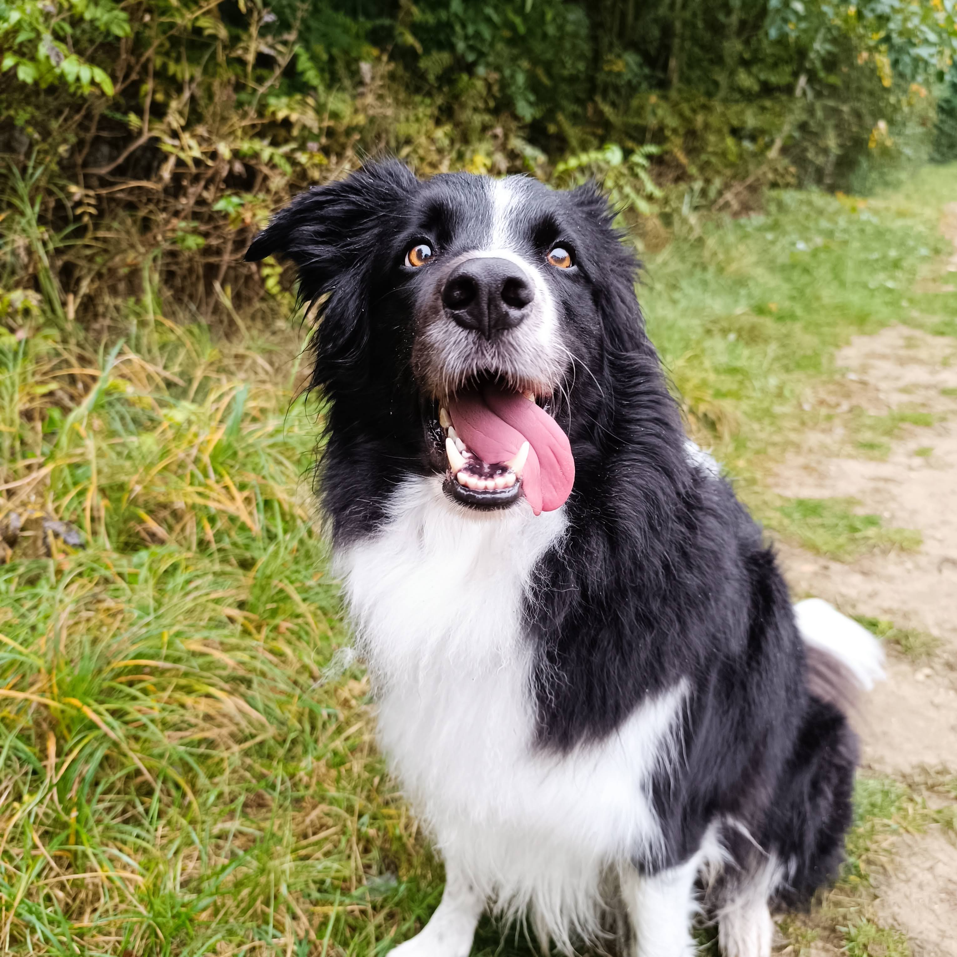 Zdjęcie: Frodo