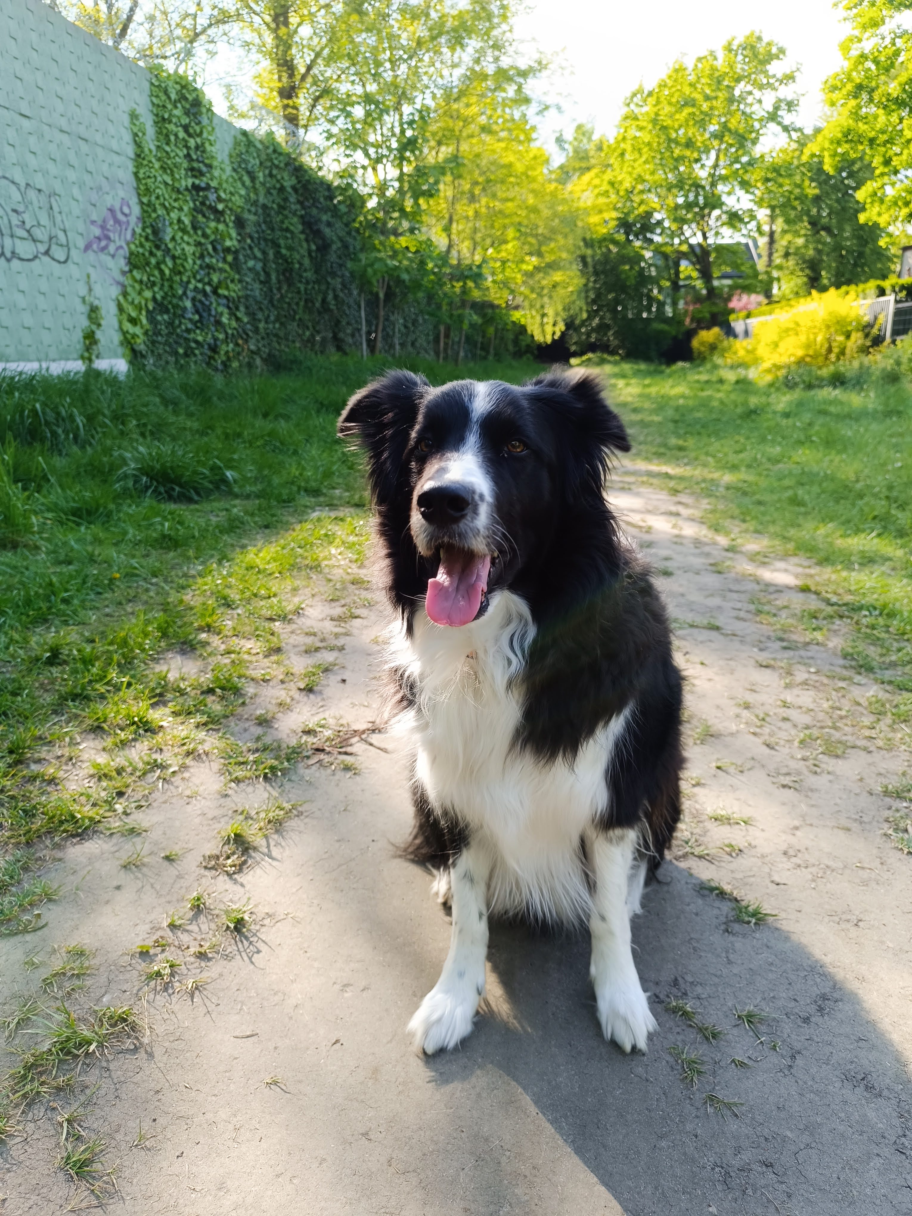 Zdjęcie: Frodo