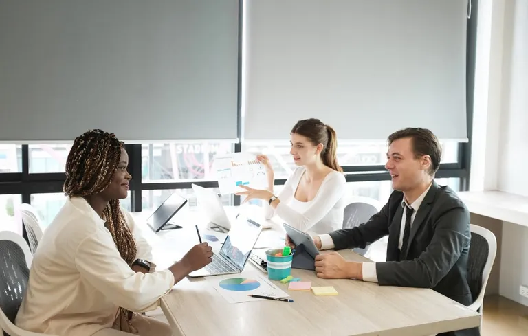 Executives meet with a consultant