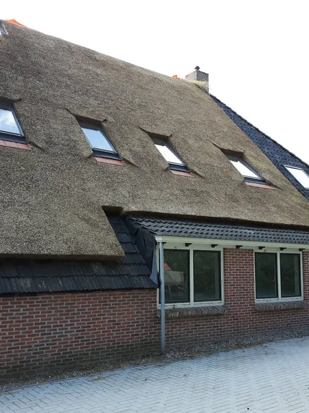 Efficiëntie en groei in de zorg: Hoe Nocht en Wille bloeide met Shiftbase en Salariszaken