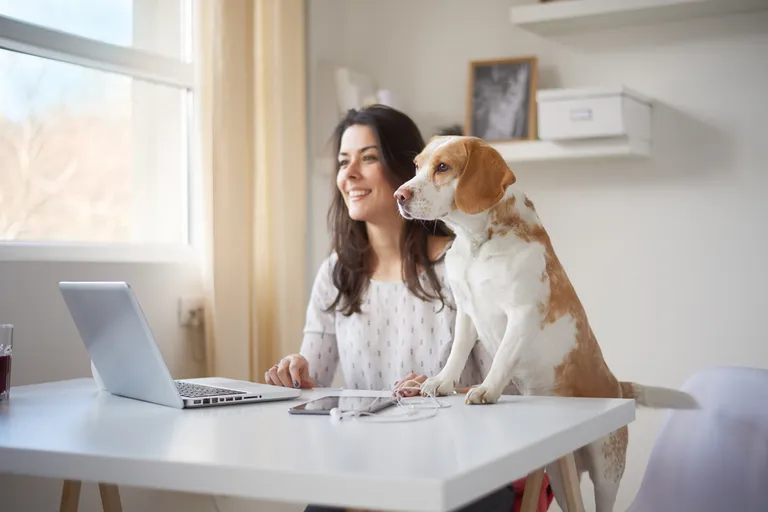 Heller und organisierter Arbeitsplatz im Home Office
