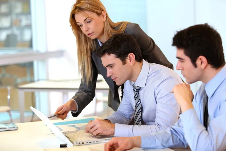 Business team working together on a project