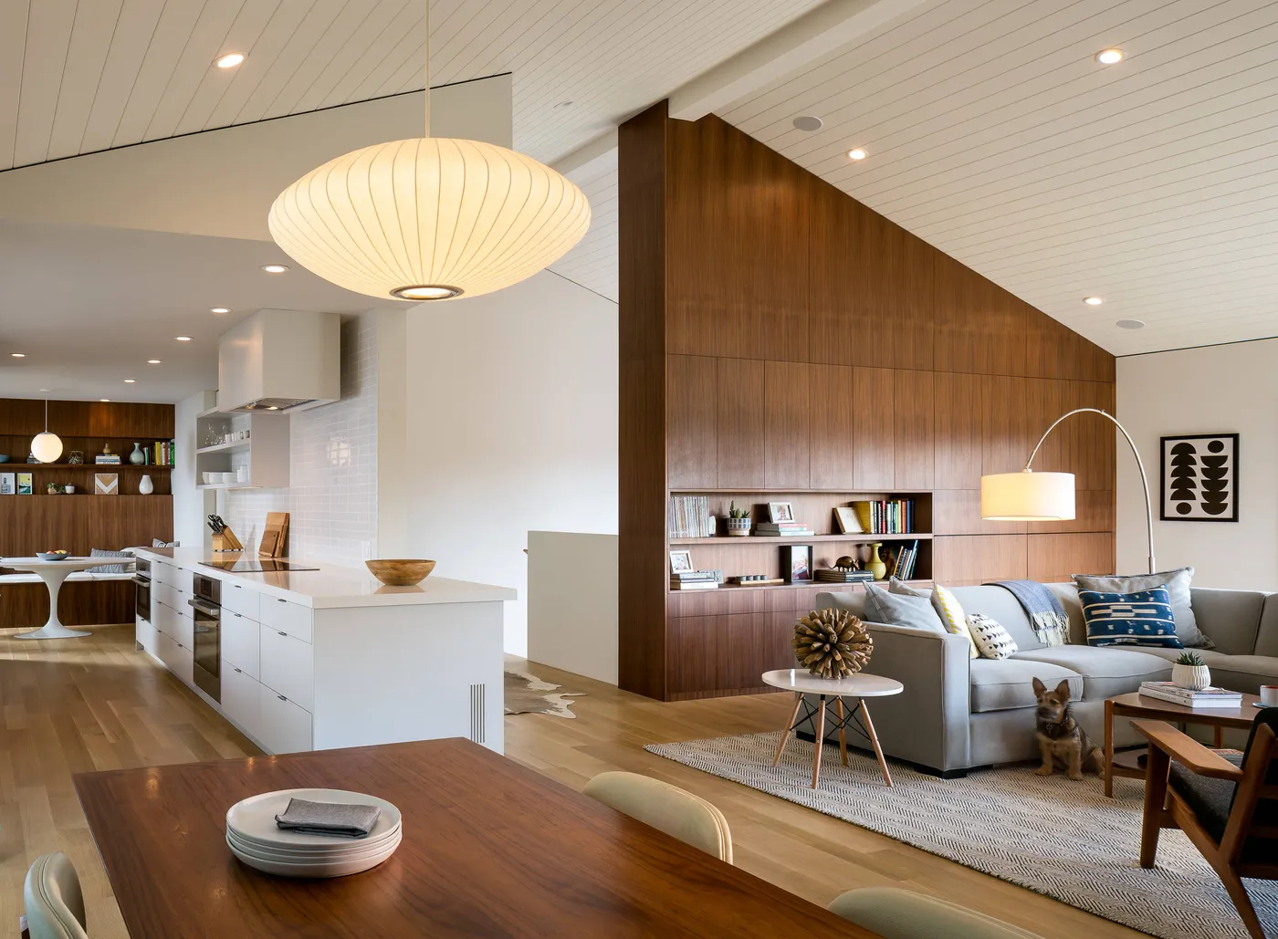 Mid-Century Modern home design — photo 1