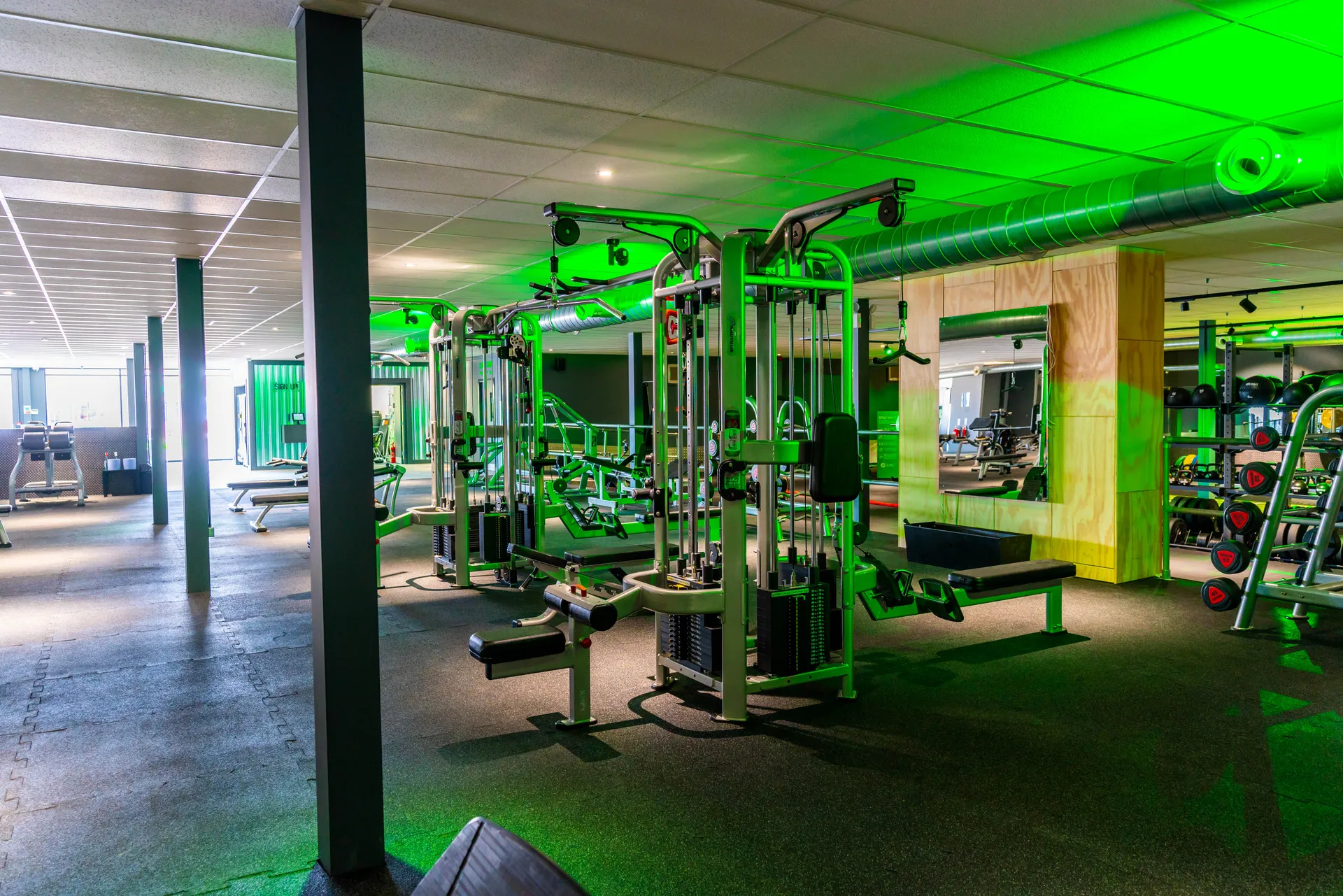 Newport - Now with all new cardio kit