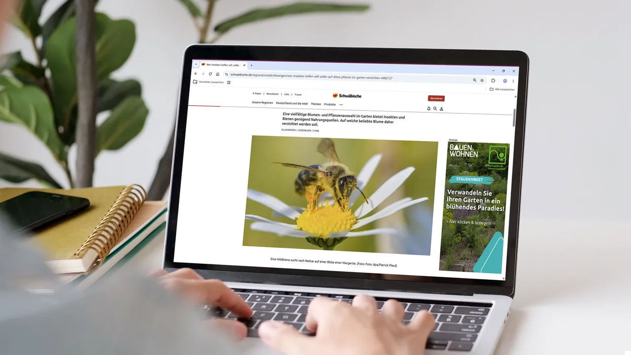 Online-Banner eines Garten- und Landschaftsbau-Anbieters neben einem Ratgeberartikel auf schwaebische.de – themenaffines Werbeumfeld