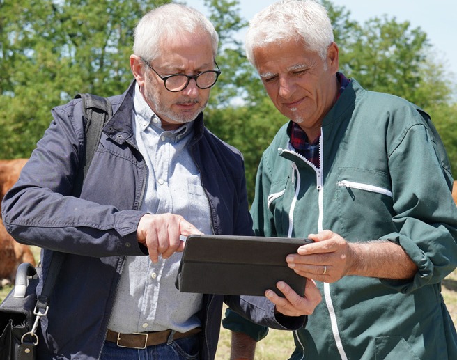Zwei Männer nutzen ein Tablet auf der Weide – digitale Lösungen erreichen auch regionale Betriebe