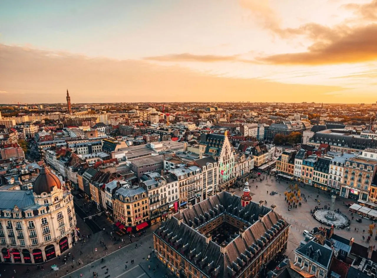 L’investissement locatif à Lille : un placement judicieux ! 🦉