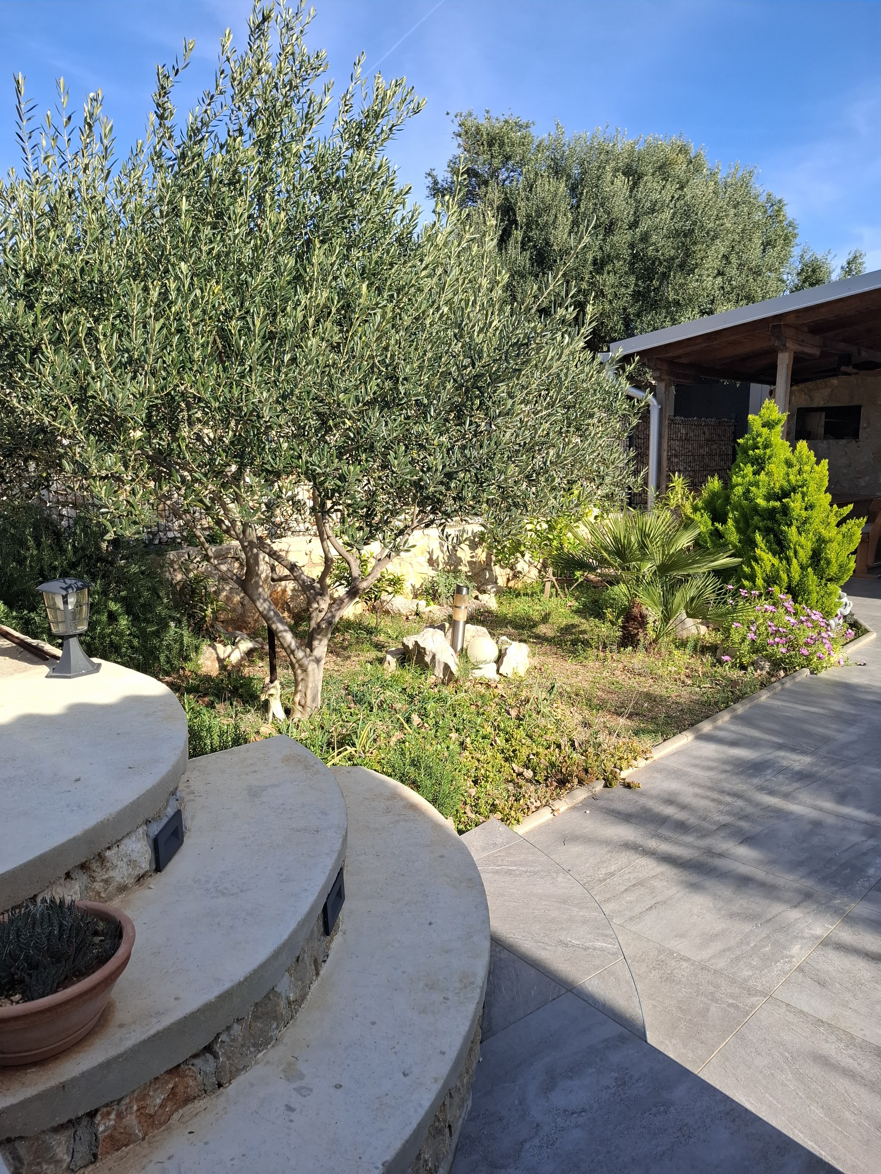 Small garden