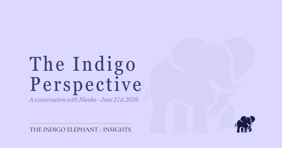 Nienke on The Phoenix Frequencies Podcast — From Controller to Conductor: the Indigo Perspective