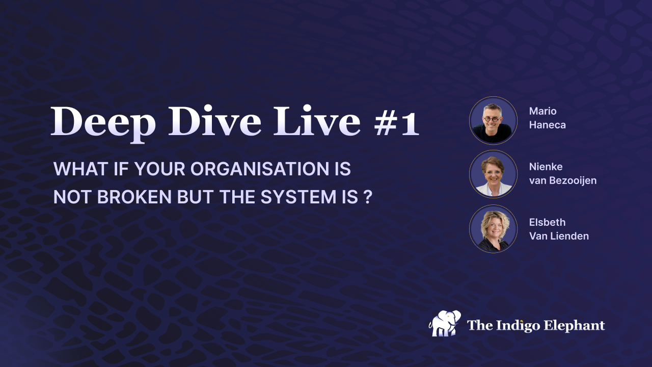 Deep Dive Live #1 — Not Broken. The System Is. · The Indigo Elephant