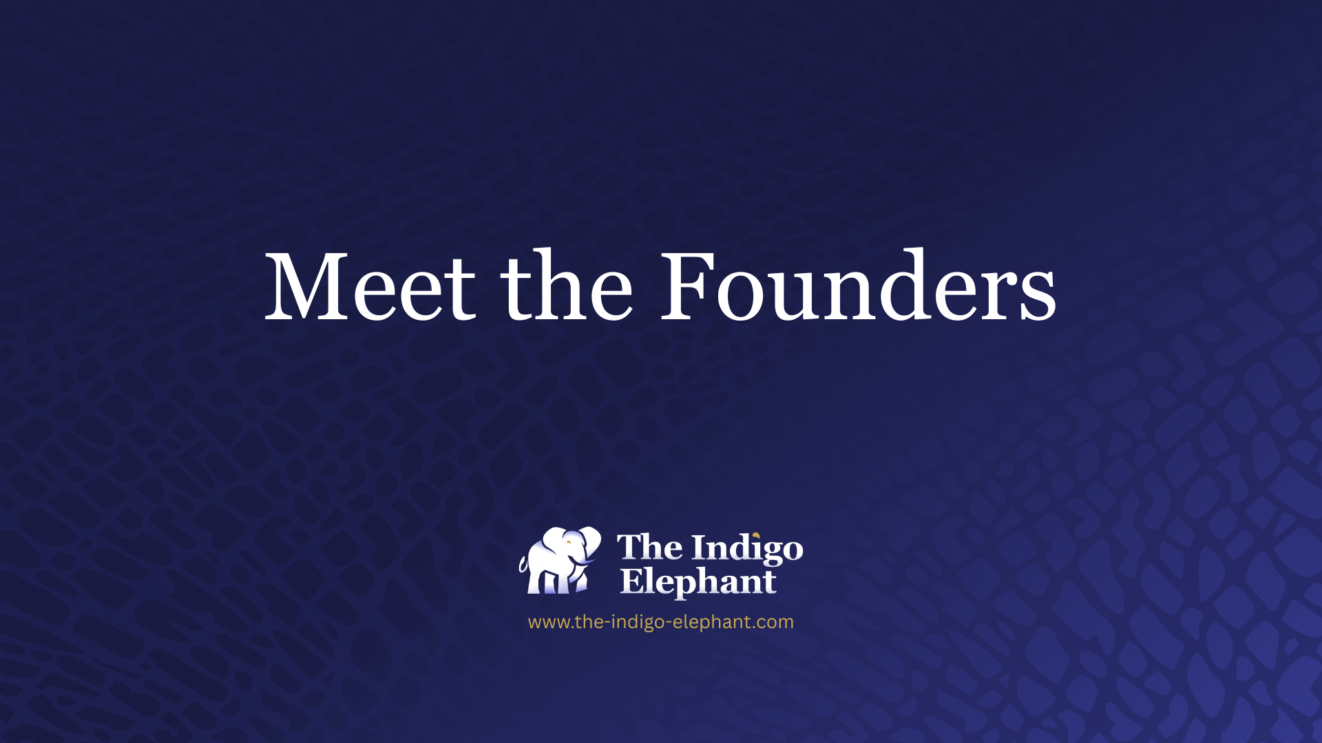 First Founder Interview — The Full Conversation · The Indigo Elephant