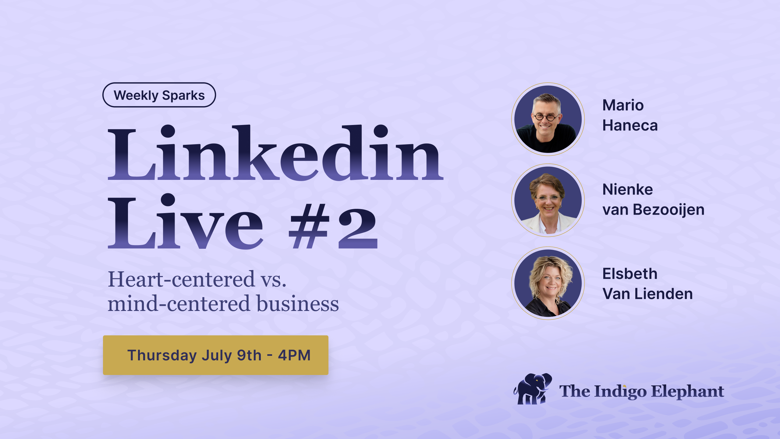 Heart-Centered vs Mind-Centered Companies · The Indigo Elephant