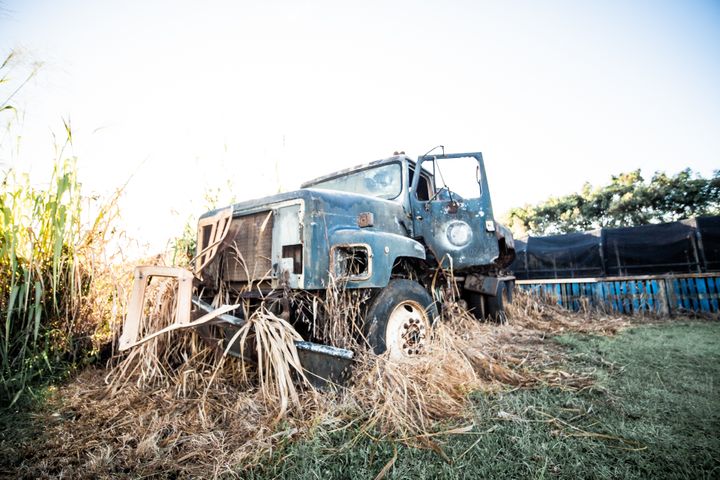 Rostiger Truck im Zuckerrohrfeld